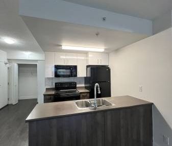 Hudson Mews Unit 310. 1 MONTH FREE RENT!!! - Photo 1