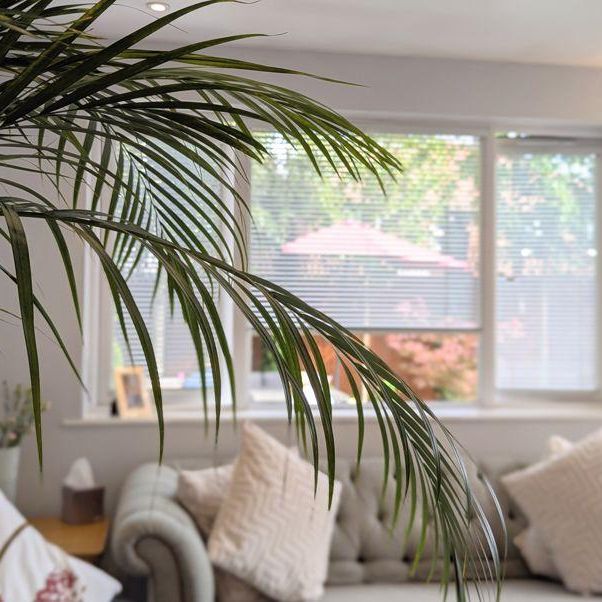 3 bedroom detached house to rent - Photo 1