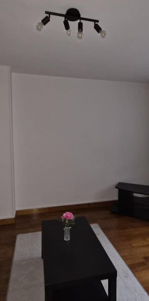Location Appartement 1 pièce 28m² GRENOBLE 38000 - Photo 1