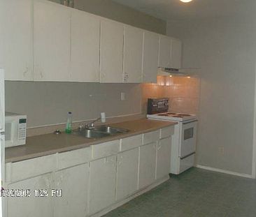 Nice Spacious 3 bedroom on Dundas Street West - Photo 3