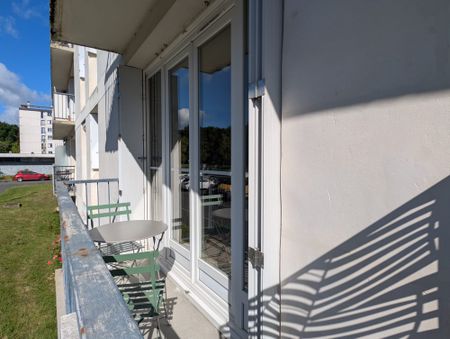Location Appartement 1 pièce 10m² TOURS 37200 - Photo 3