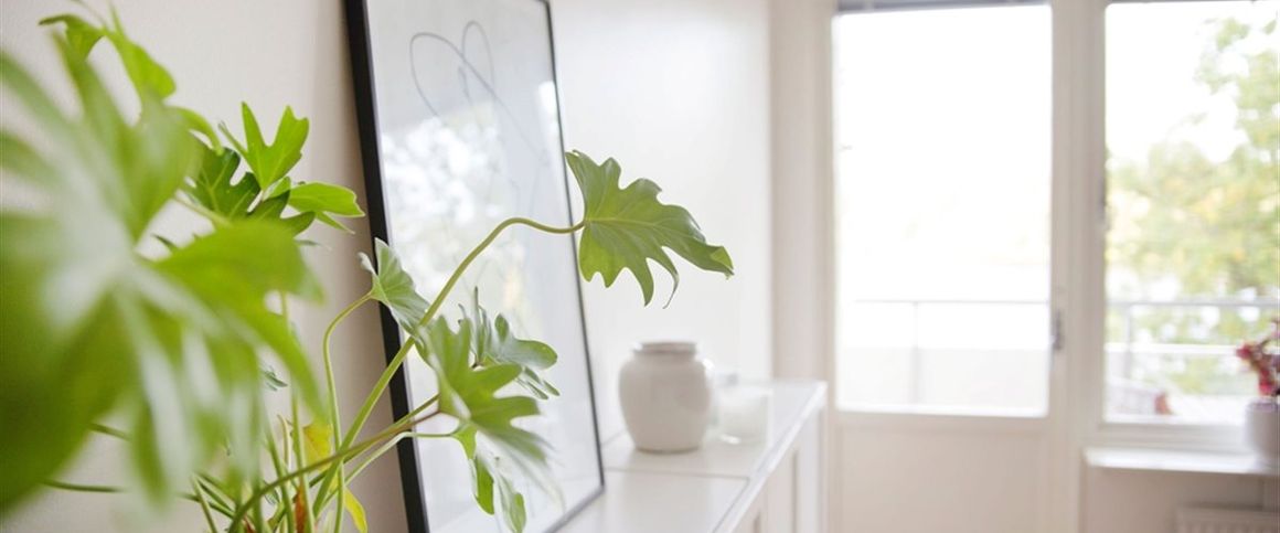 Lilla Trädgårdsgatan 7C - Foto 1