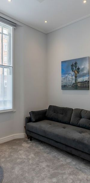 A brand new studio apartment that has been intelligently designed for maximum use and enjoyment of the space with a high finish throughout. - Photo 1