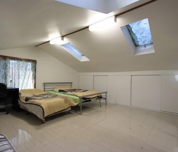 19 Lang Street, Croydon NSW 2132 - House For Rent | Domain - Photo 3