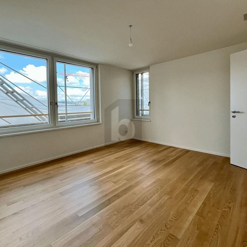 ERSTBEZUG: GROSSER BALKON, SICHT AUF DEN ÜETLIBERG - Photo 1