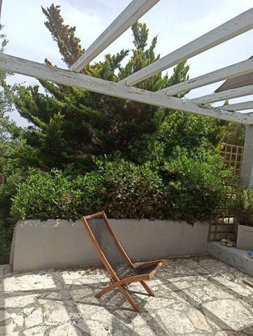 Μονοκατοικία για ενοικίαση Βραυρώνα (Μαρκόπουλο) - Photo 5