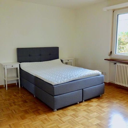 Mickey #3 - Experience 60's Charm in Zürich's Green Oasis - Photo 1