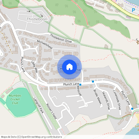 Cleveland Ave, Swansea, SA3