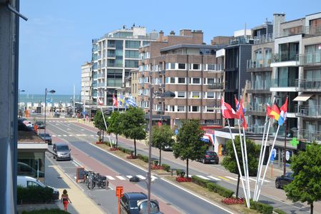 Volledig gerenoveerd 2 slaapkamer appartement met vrij uitzicht te Oostduinkerke-bad! - Photo 4