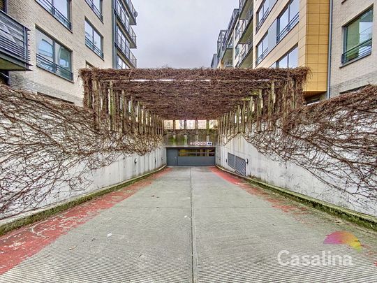 CASALINA REAL ESTATE - Photo 1