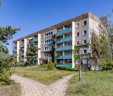 Altersfreundlich mit Aufzug! 1-Zimmer-Wohnung mit Balkon im EG - Photo 3