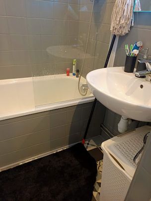 1 pièce - Meublé - 23,11 m² - RDC - Colocation non autorisée - Photo 1