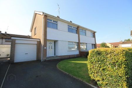 15 Knockview Drive, Tandragee, Craigavon, BT62 2BH - Photo 3
