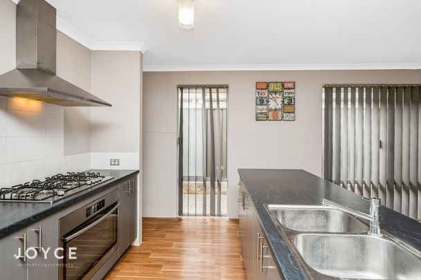42 Echidna Street, Banksia Grove Wa 6031 - Photo 1