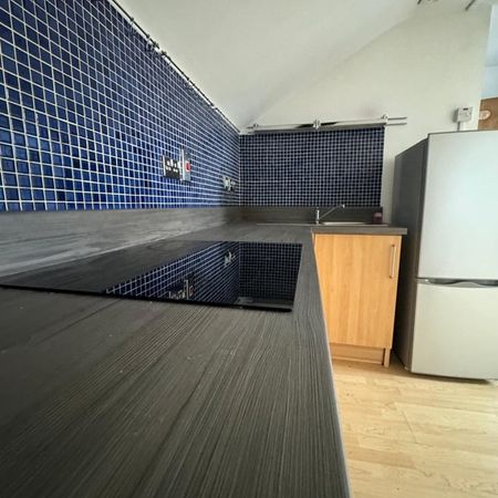 1 Bed Flat, Rotton Park Road, B16 - Photo 3