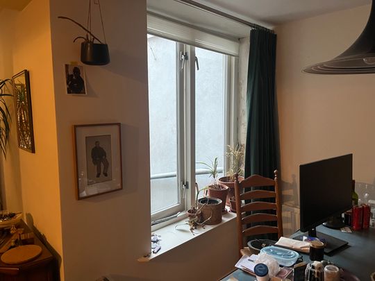 Ruim 2 kamer appartement te huur op zeer gewilde locatie in de binnenstad van Utrecht - Foto 1