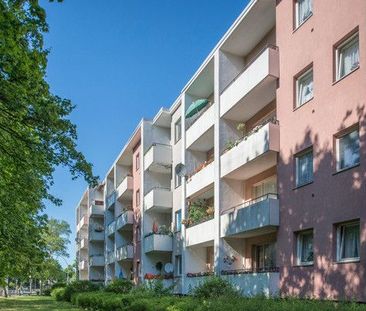 Gemütliche und renovierte 1,5 Zimmer mit Balkon - Photo 1