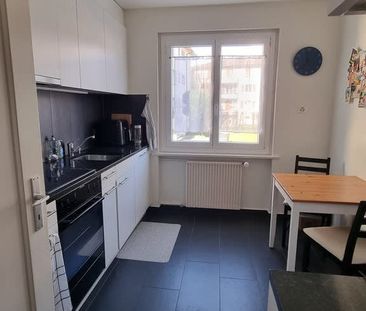 3 Zimmer, 54 m², EG - Photo 4