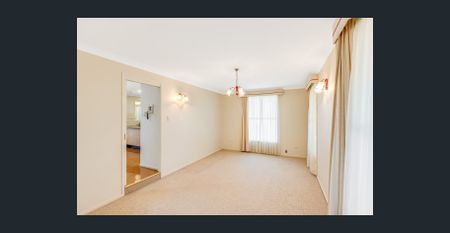 So Much Living Space - Photo 2