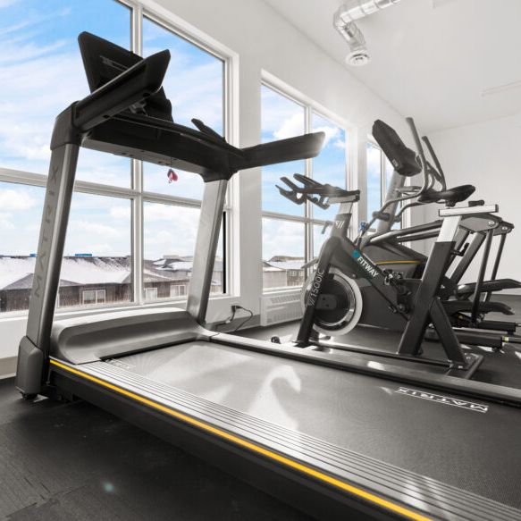 Balsam: Black Accents – 225 Peguis, Winnipeg, MB - Photo 1