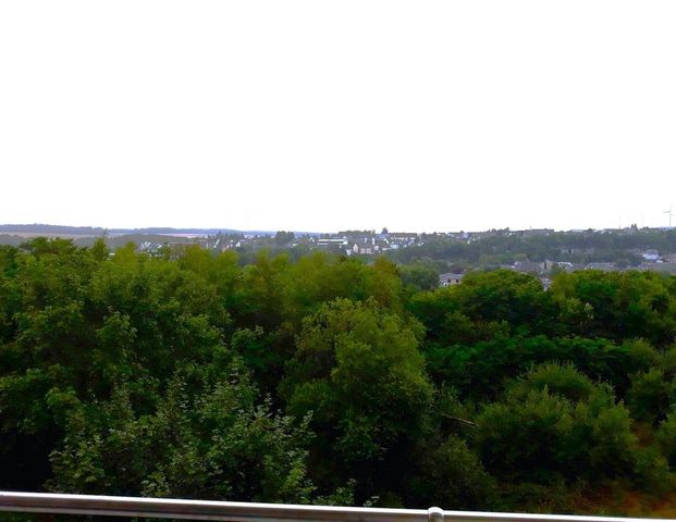 Simmern / 3 Zimmer-Wohnung - Foto 1