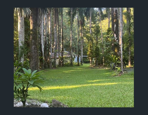 Serene Granny Flat in the Heart of Fishery Falls - Photo 1