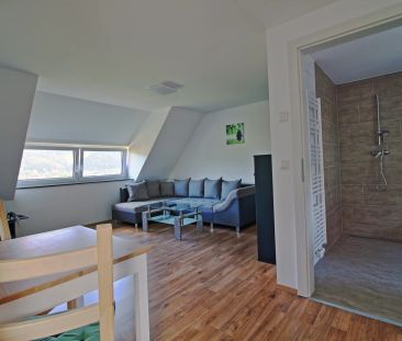 Moderne Wohnung - möbliert - Pauschalmiete alles inklusive! - Photo 6