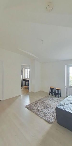 Location Appartement 1 pièce Meublé 27m² ROMANS SUR ISERE 26100 - Photo 1