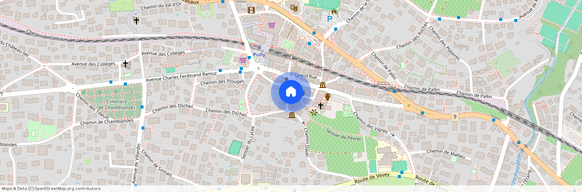 1009, Pully, Rue du Midi, 1