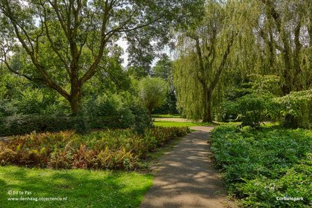 Pompe van Meerdervoortstraat 2, Voorburg Noord zuid, 2274PR - Foto 5