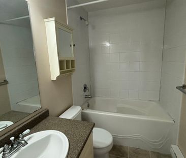 Suite in Upper Ten Oaks – Above Ground - Photo 6