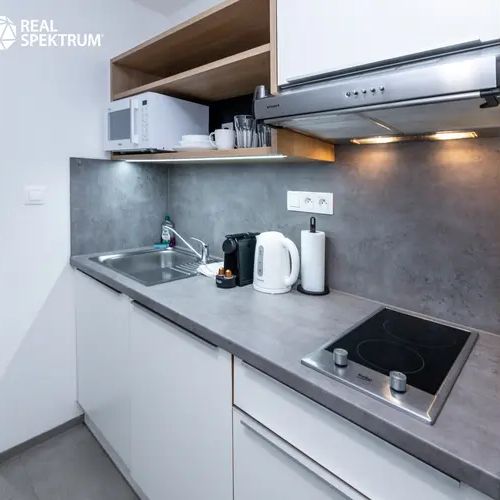 Pronájem moderního bytu 1+kk s balkonem u Vaňkovky - Photo 1