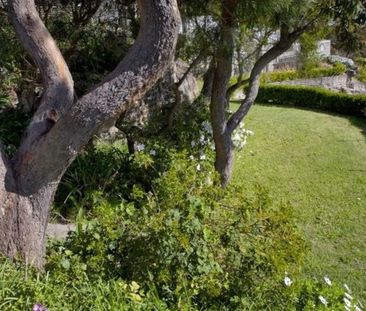 GREAT VIEWS!!! - Photo 2