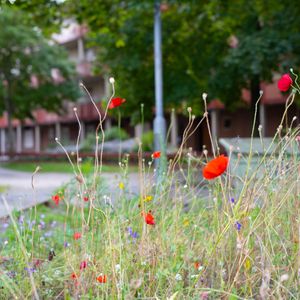 Torstensonsgatan 33 - Foto 2