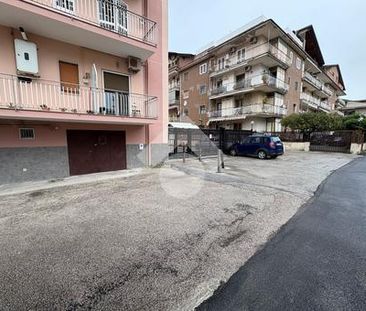Trilocale in affitto - Photo 2