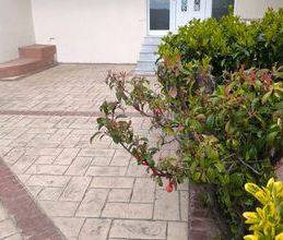 Διαμέρισμα για ενοικίαση - Καπανδρίτι, - Photo 5