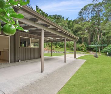 Rainforest Living in Forest Glen - Photo 5