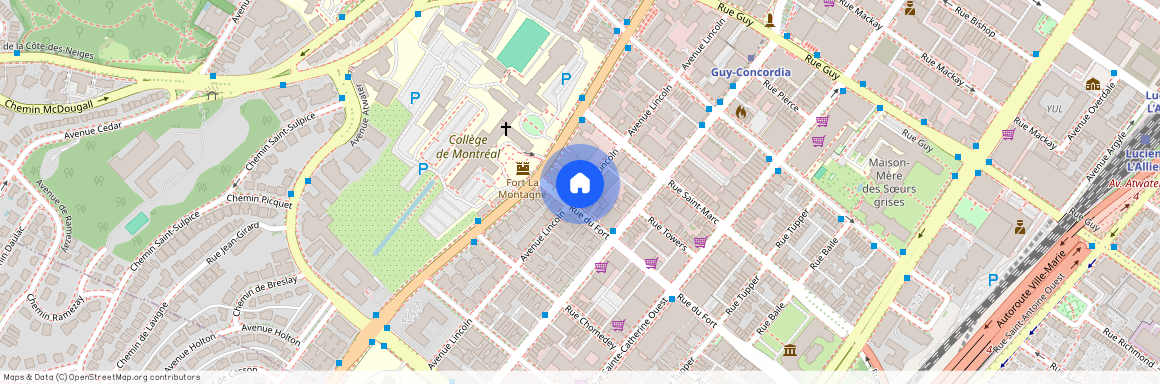 Avenue Lincoln, Shaughnessy Village, Montreal