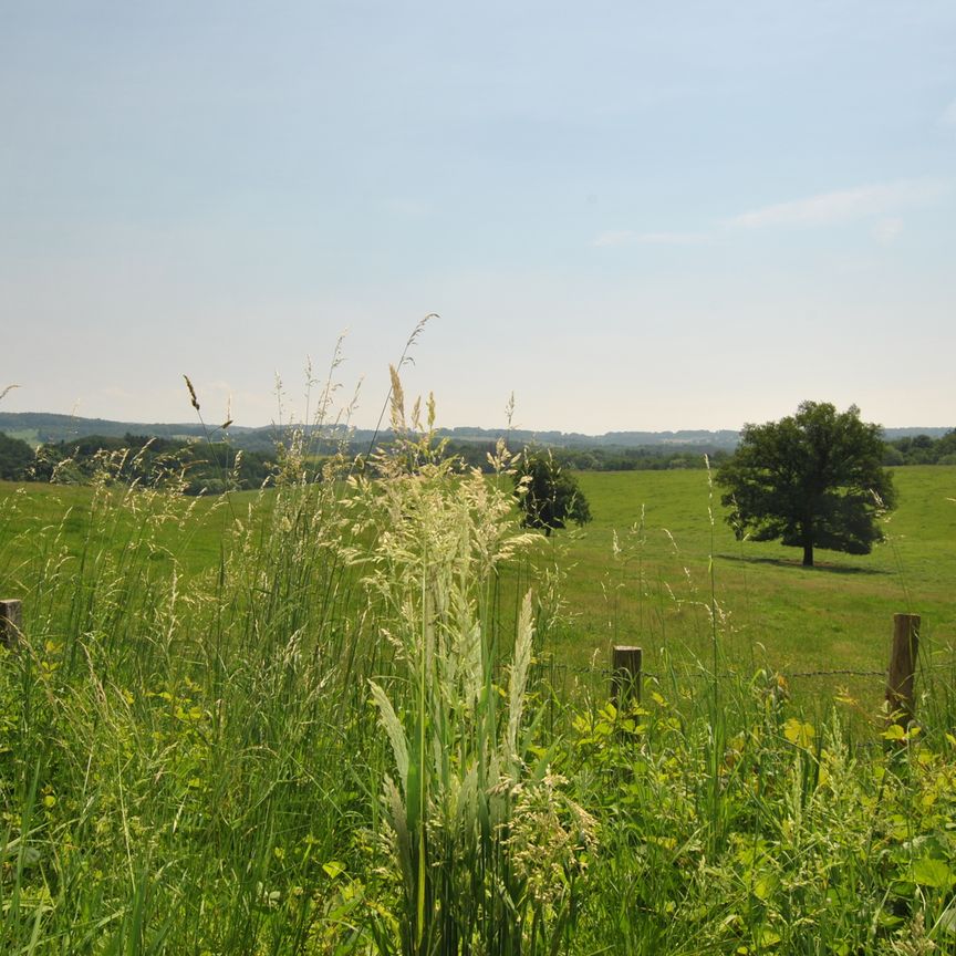 *Gemütliches Apartment mit Terrasse und Gartenanteil* Wohnen in ruhiger Lage von Marienfeld. - Photo 1