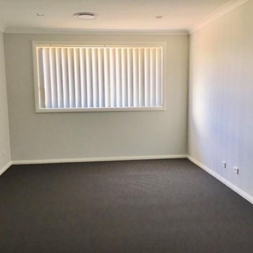 Modern 3 Bedroom Family Home on Corner Block - Photo 1