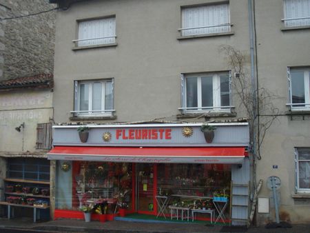 Location Appartement 1 pièce 18m² SOUCIEU EN JARREST 69510 - Photo 5