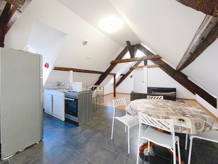 Location Appartement 3 pièces 50m² OBERSCHAEFFOLSHEIM 67203 - Photo 3