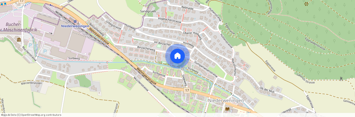 8166, Niederweningen, Binzacherweg, 3