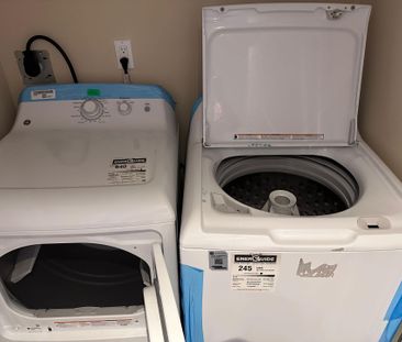 For Lease - 91 Hammersly Boulevard Unit# Bsmt, Markham, Ontario - Photo 5