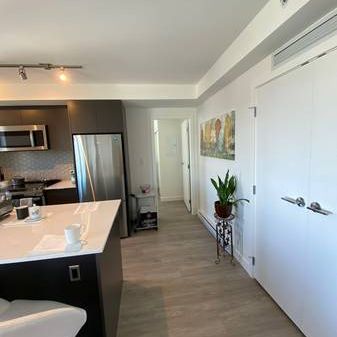 2-BR Brand new condo furnished in DT Victoria - Photo 4