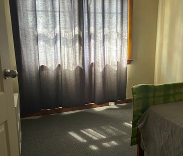 Moonah - Photo 3