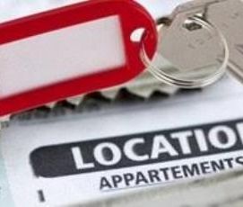 Location Appartement 1 pièce 19m² ST MALO 35400 - Photo 2