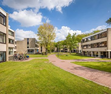 Chambre Calslaan 28-b, Enschede - Campus de l'Université de Twente - Photo 5