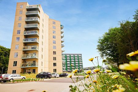 Bredhøj, 4 6.th., Silkeborg, 8600 - Photo 3