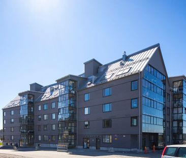 Lottagatan 12 A - Photo 5